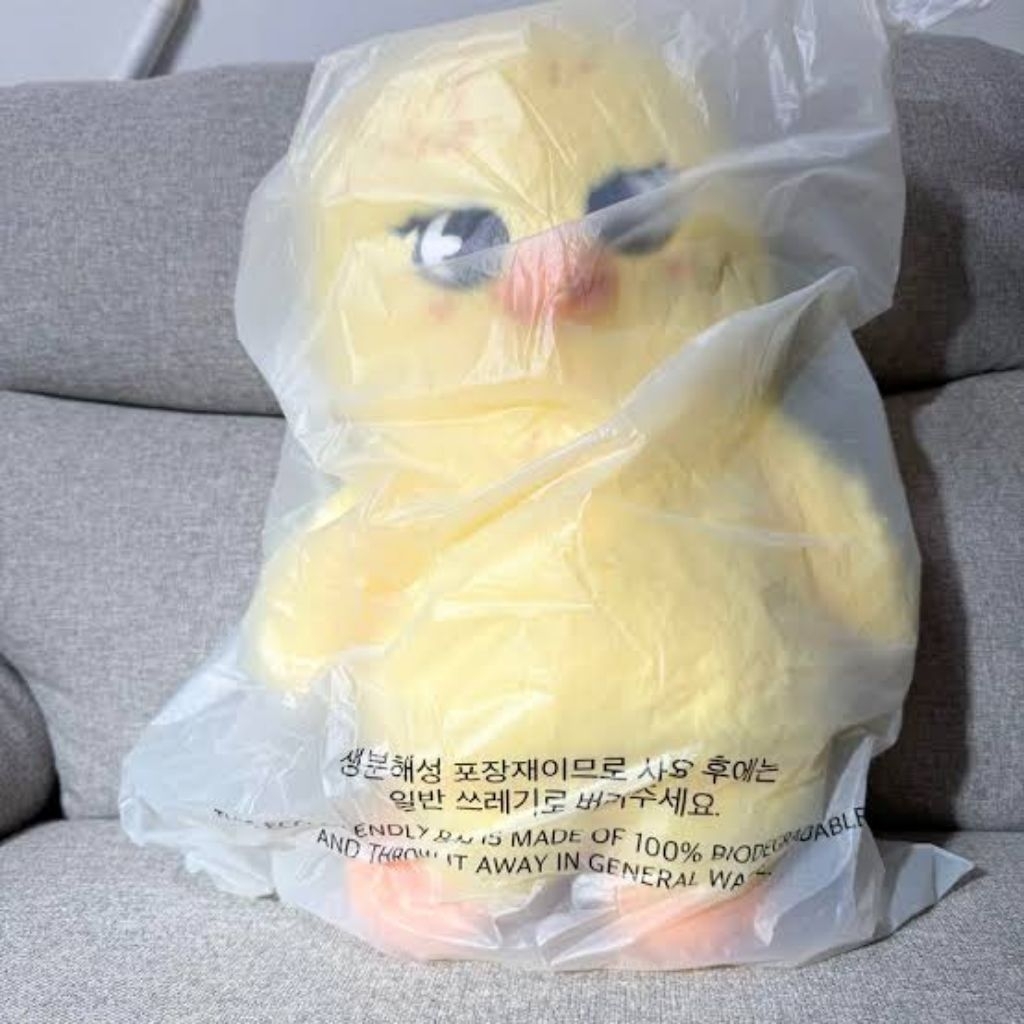 Stray Kids SKZOO BbokAri Official Plush Teddy Bear Ver. 5’clock Limited