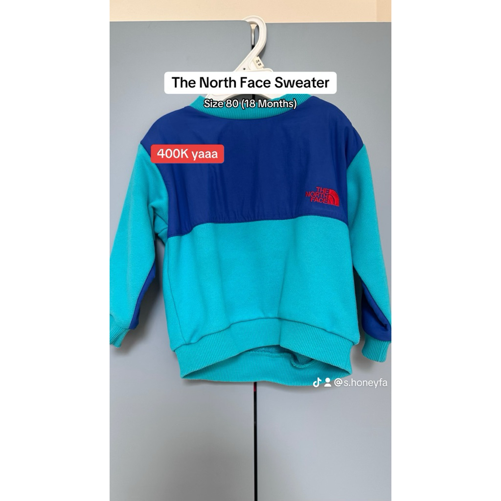 Preloved Sweater The North Face Kids Ukuran 18 Months