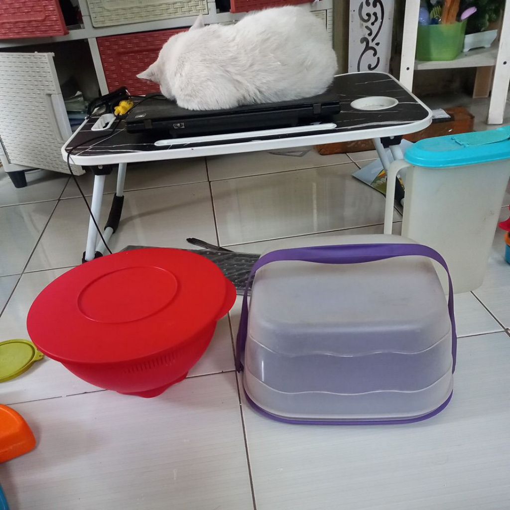 Rice colander 3,5L, cake taker square tupperware