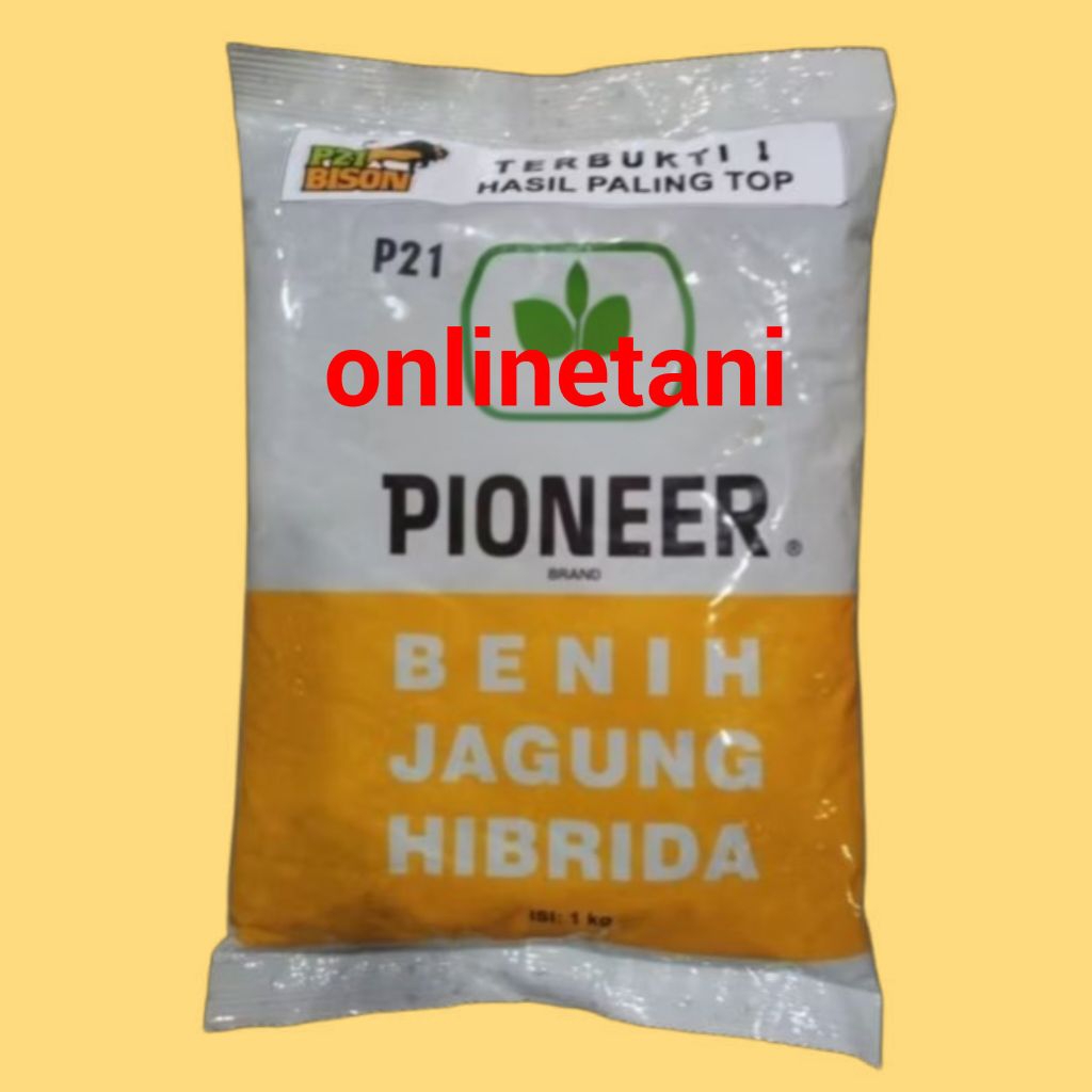 Benih Jagung Pioneer P21 kemasan 1kg