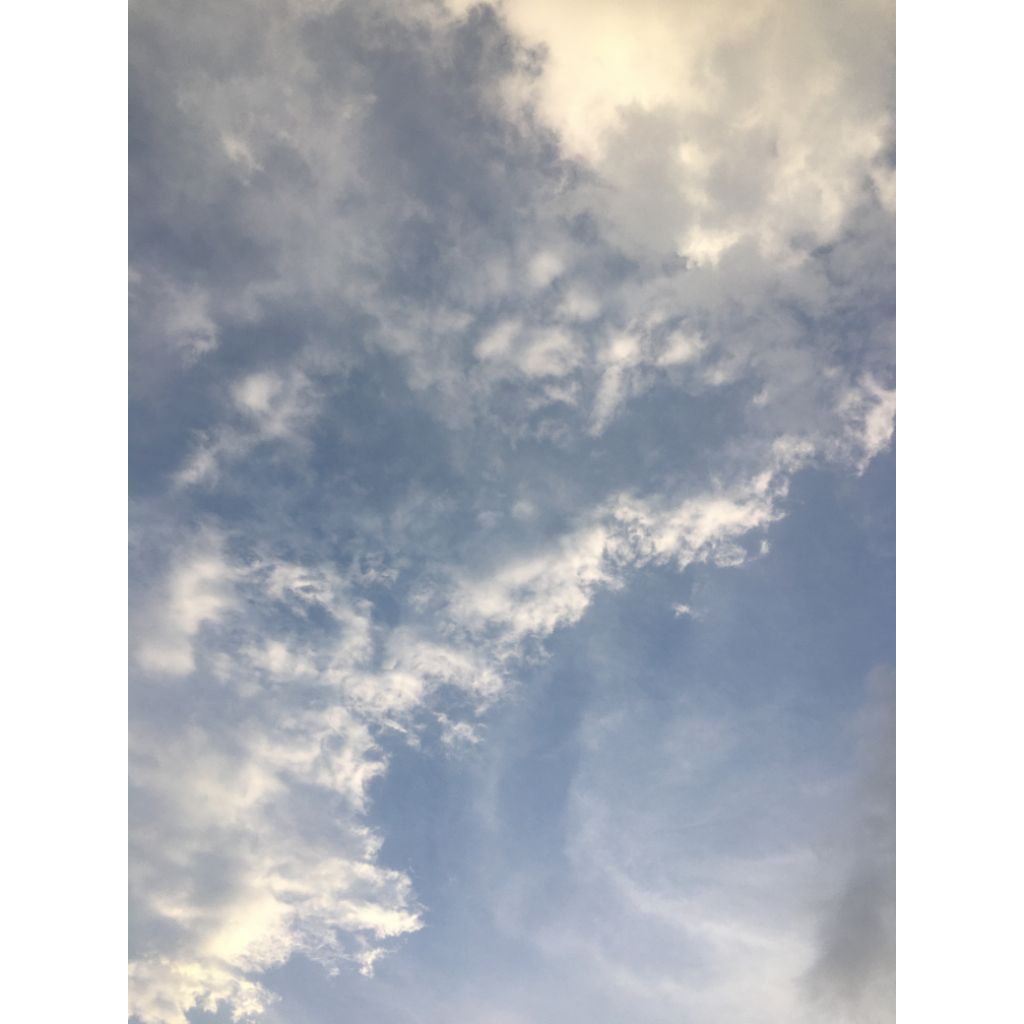 link co cn supreme markk