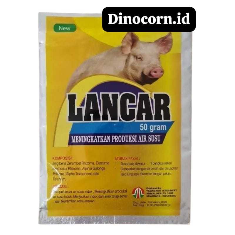 Lancar Babi  jamu meningkatkan produksi air susu induk babi