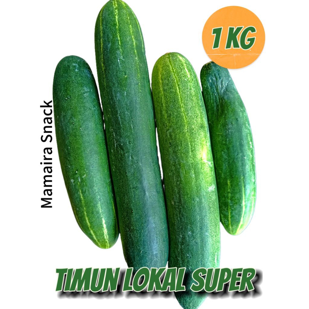 Timun Sayur / Timun Acar 1 Kg Fresh Petik Pohon