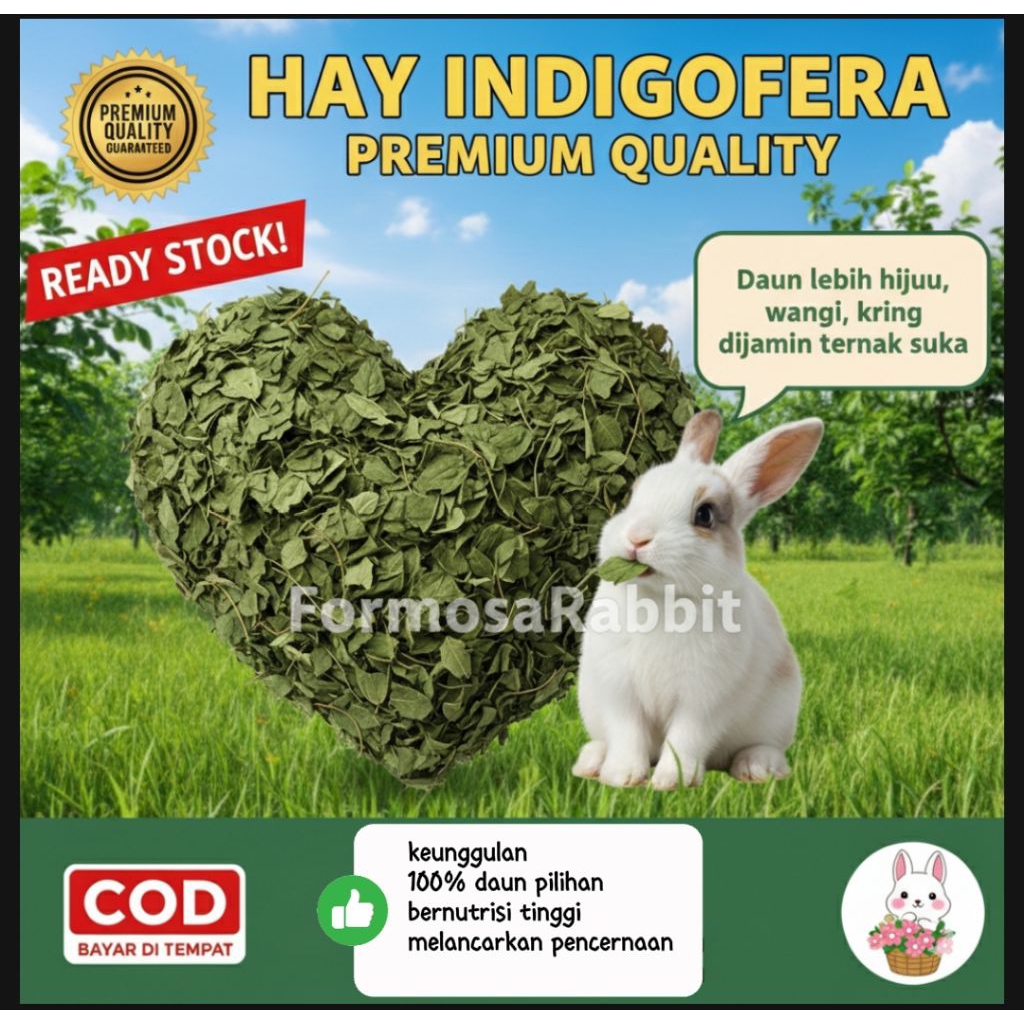 Hay Indigofera Pakan kelinci Murah indigofera hay Rumput Kelinci Murah Daun kering Kelinci 1000 gr