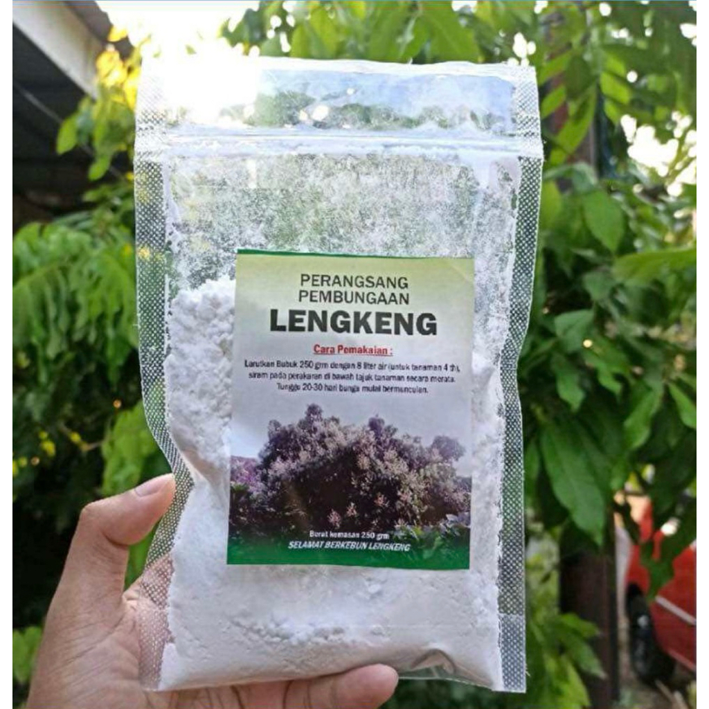 BOSTER KELENGKENG 250 GRAM