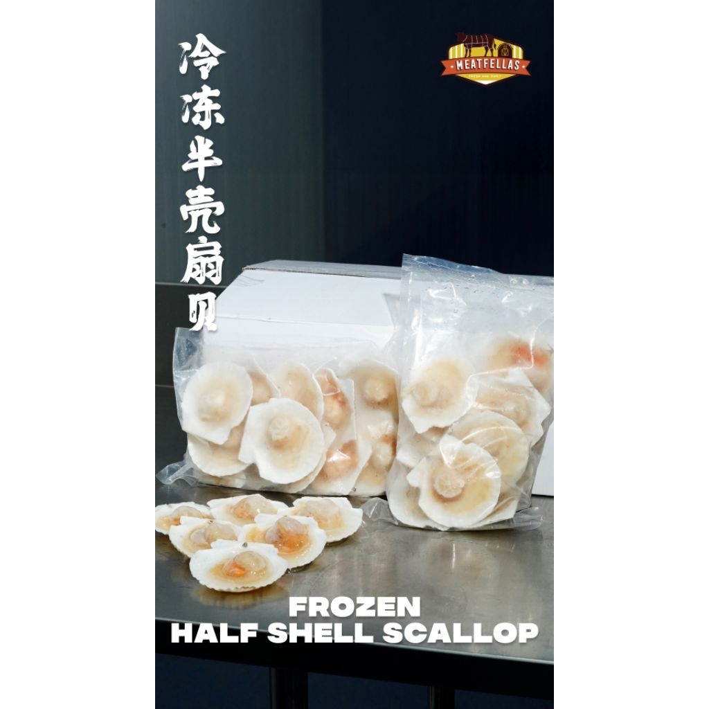 Half Shell Scallop