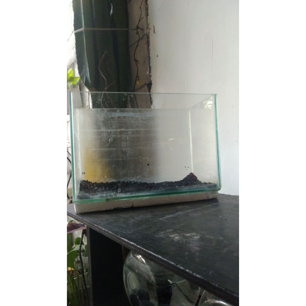 aquarium mini bekas