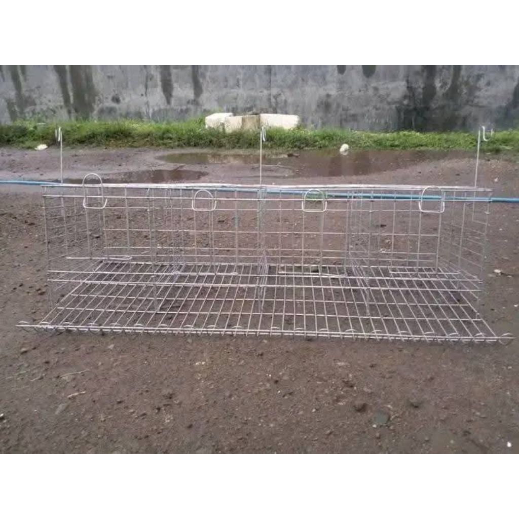 kandang galvanis