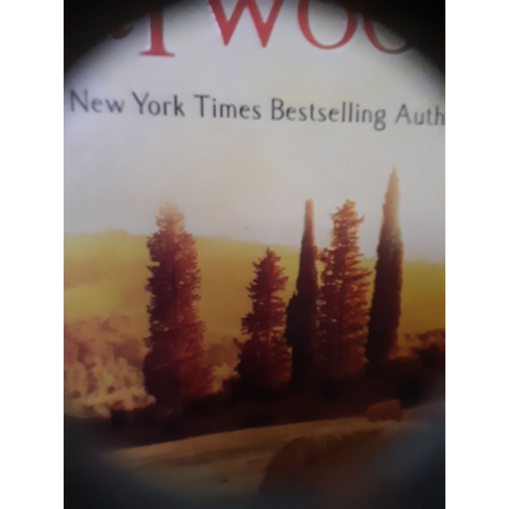 Novel Julie Garwood ( Heartbreaker)