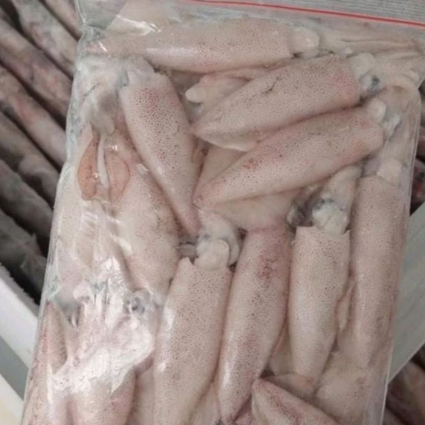 Cumi-cumi tinta hitam