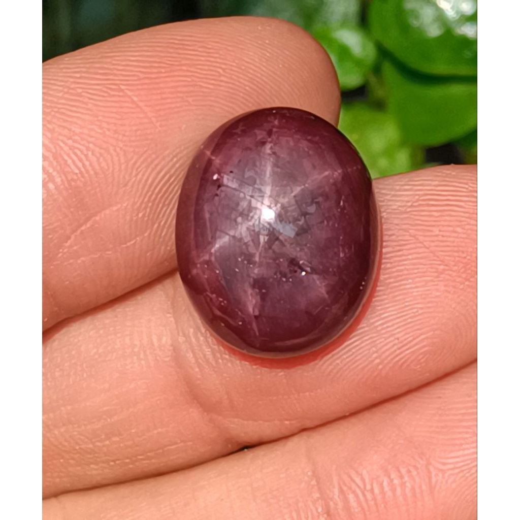 natural star Ruby corundum Afrika jumbo size 29.4 ct