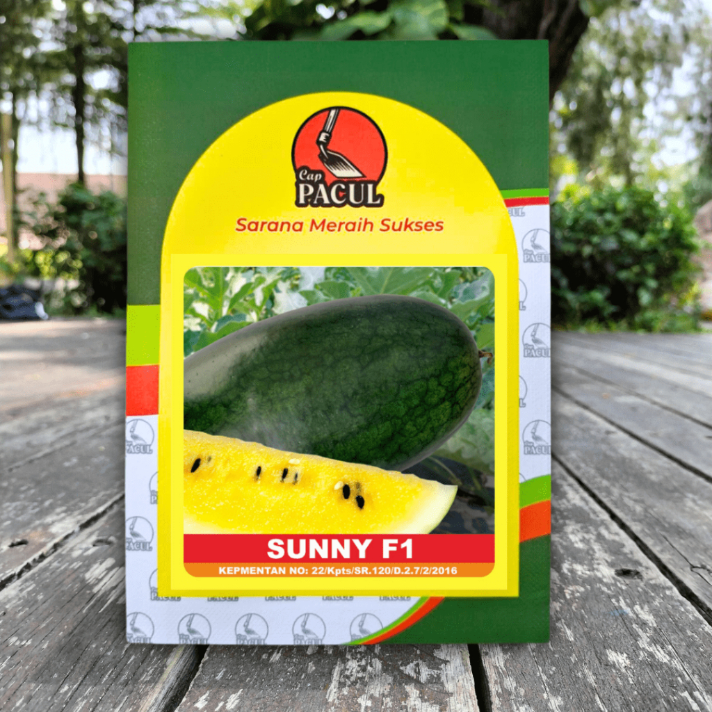 OBRAL BENIH SEMANGKA INUL KUNING ISI 500 BIJI SUNNY F1 CAP KUJANG CAP PACUL