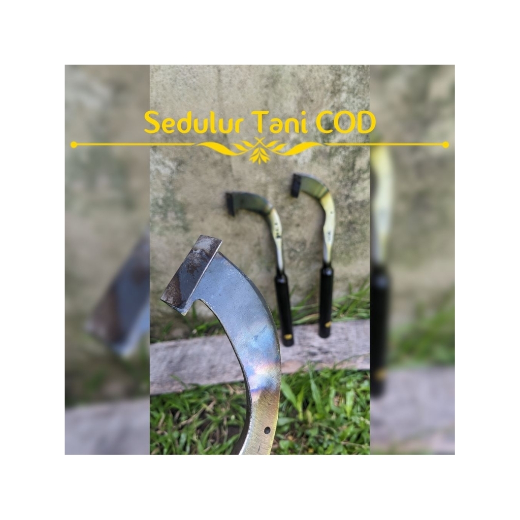 PISAU SADAP KARET THAILAND // ALAT SADAP KARET // PISAU SADAP // PISAU DERES KARET // PAHAT KARET