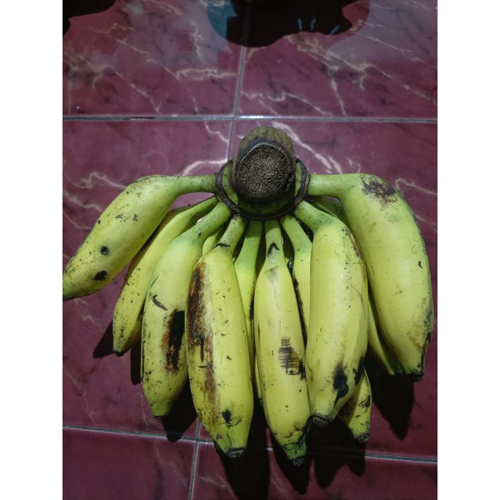 pisang uli 1 sisir