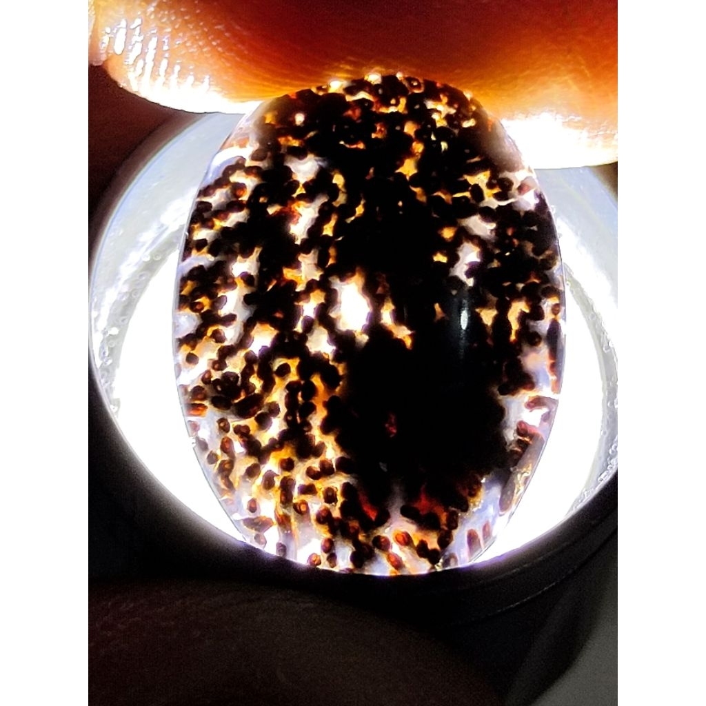 Loose Stone - Natural Kelor Petrified Wood Crystal / Batu Fosil Kayu Kelor Kristal, 5