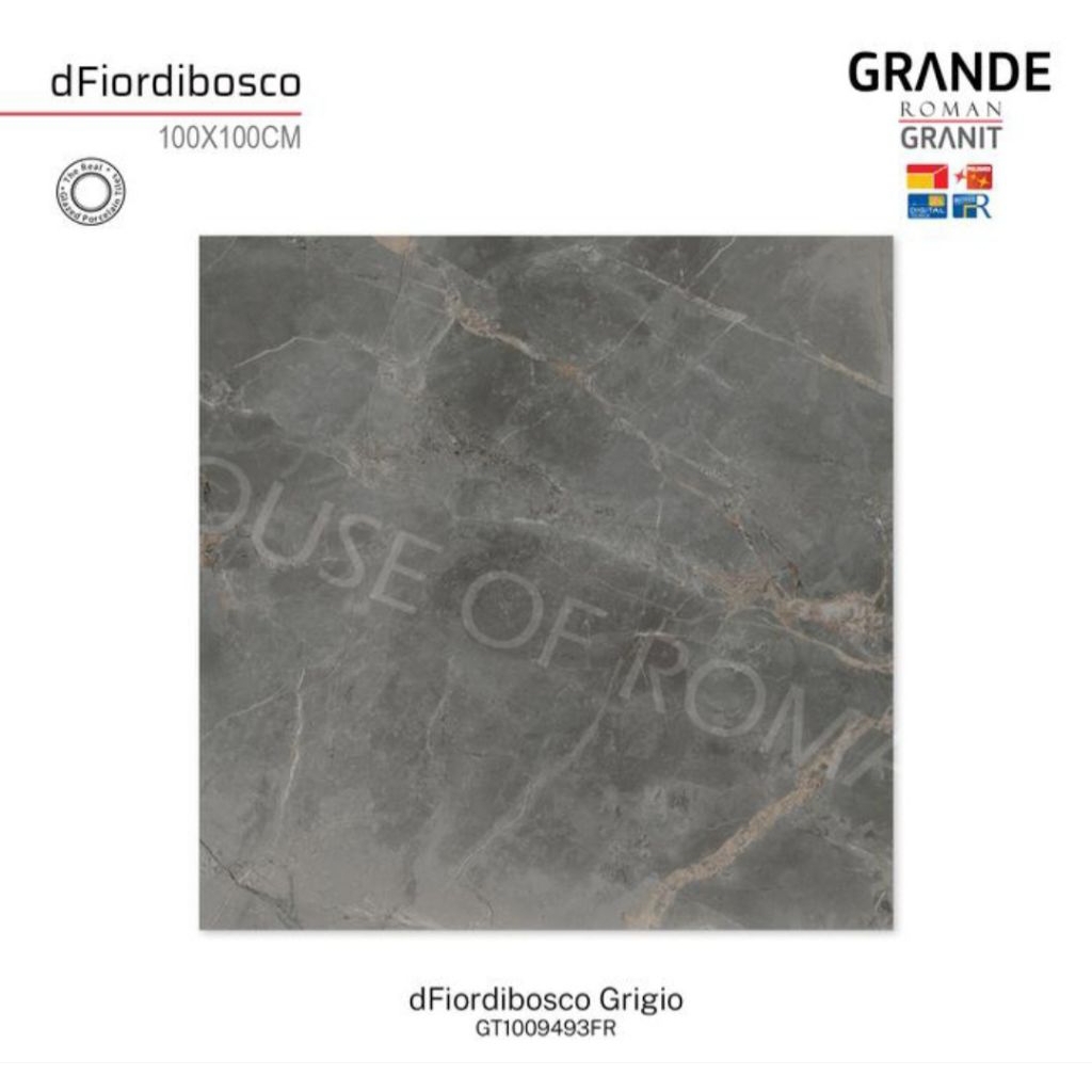 Roman Granit GT1009493FR dFiordibosco Grigio 100x100 Kw1