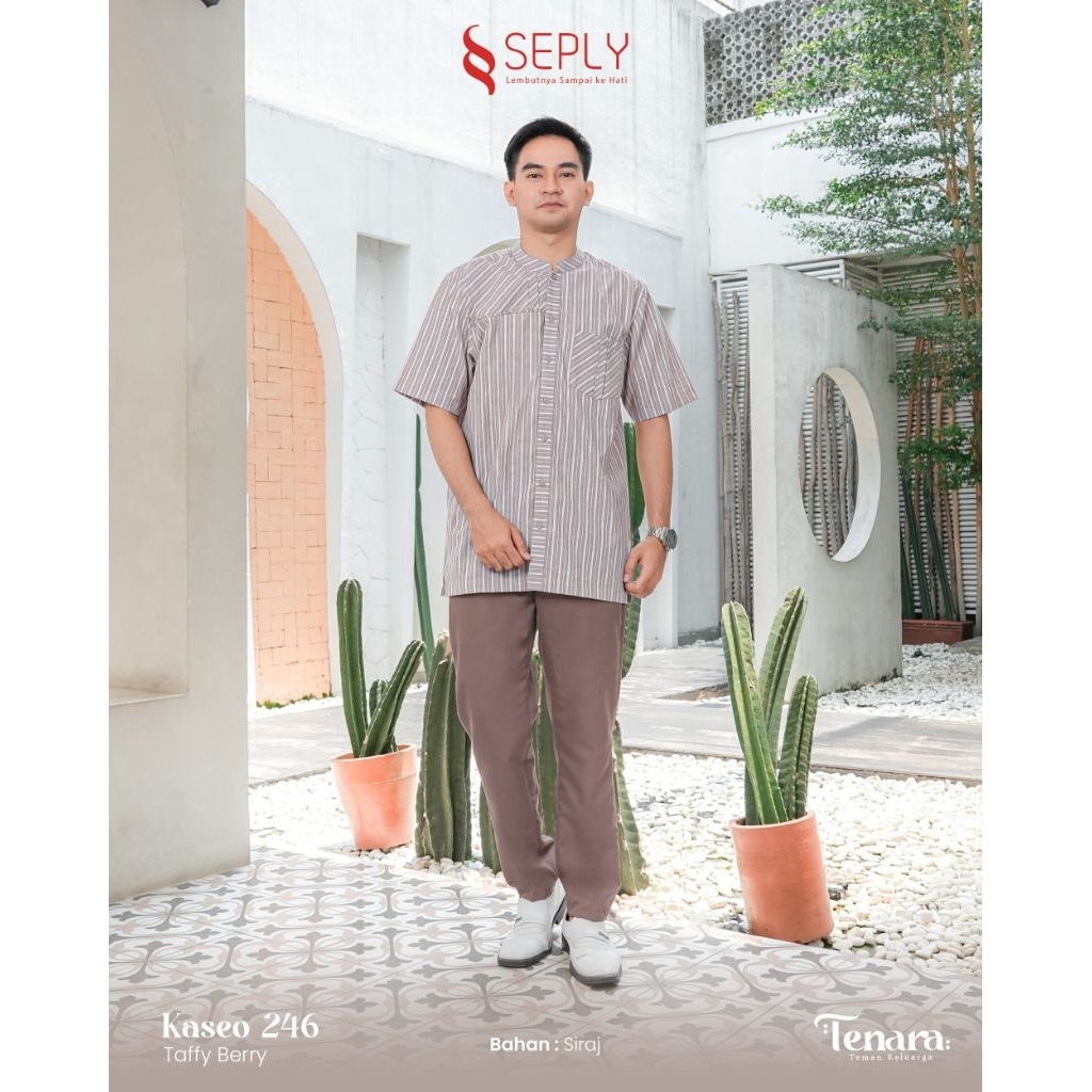 SEPLY KASEO 246 KOKO DEWASA