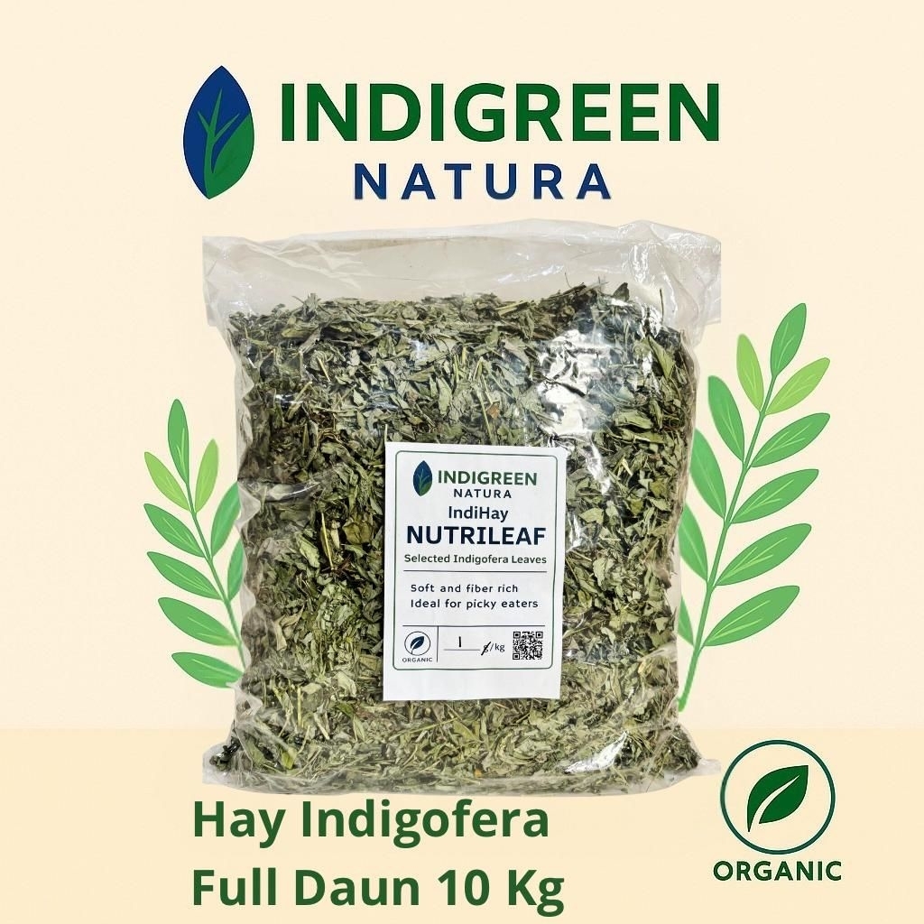 Hay Indigofera Full Daun Kering Murni Daun Pakan Ternak Pakan Hewan Pakan Kelinci Kambing Sapi Domba