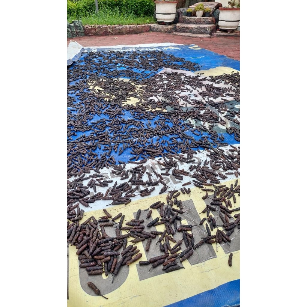 Cabe Jawa Kering Kualitas terbaik 500 gram