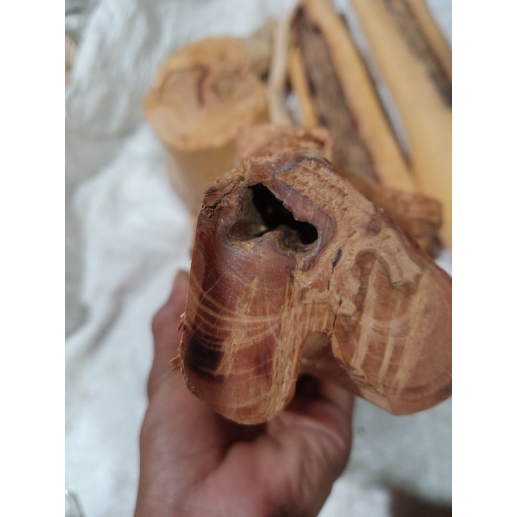 cendana ntt ndaru langka