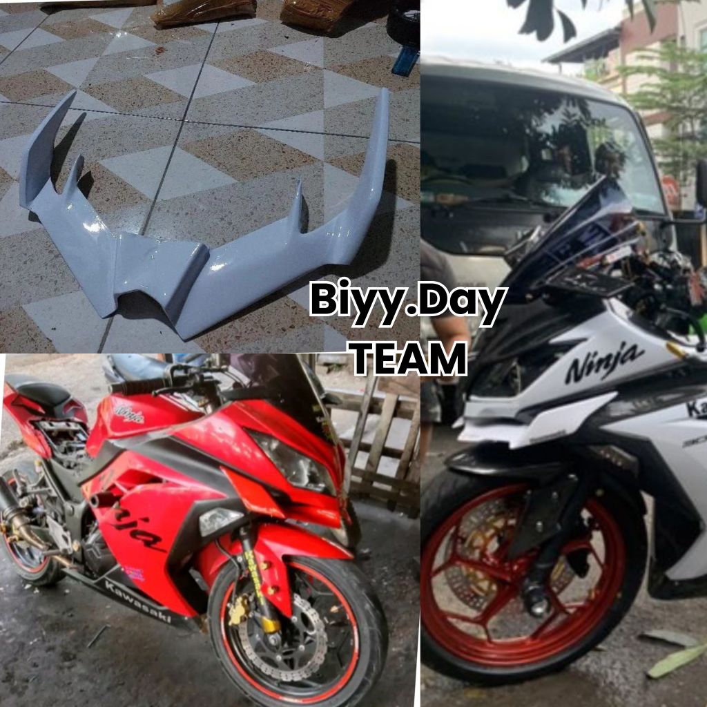Winglet Kawasaki Ninja 250 fi / 300 fi model zx636