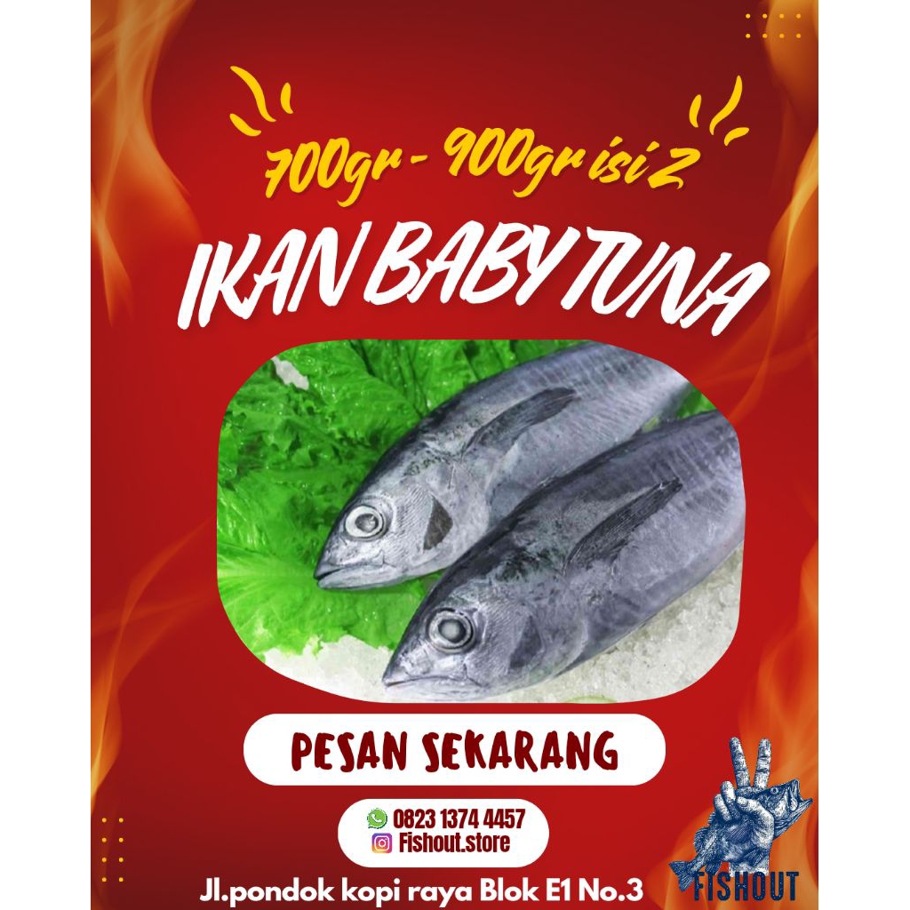 Ikan baby tuna utuh beku / frozen
