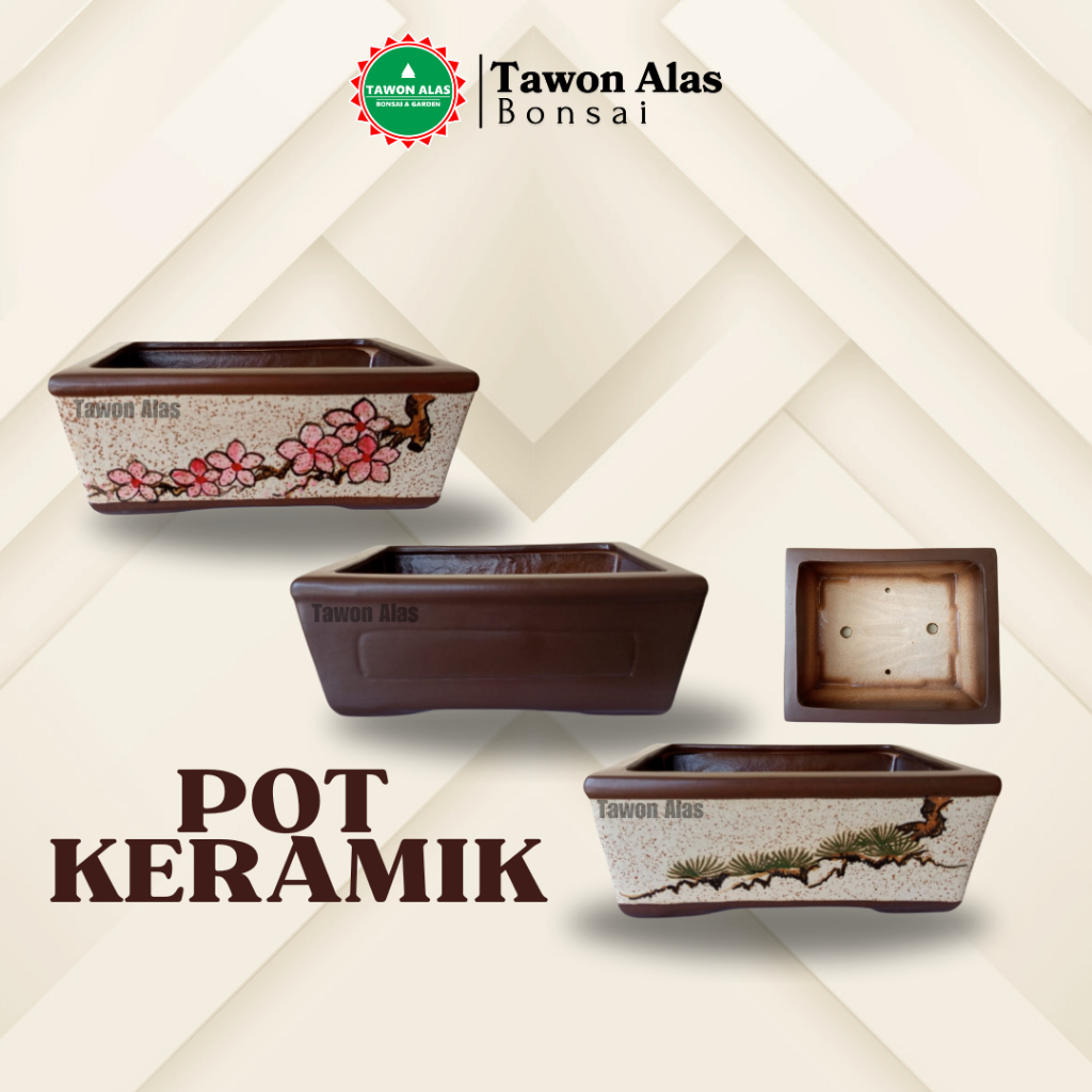 Pot Keramik Persegi Panjang | Tanaman Bonsai