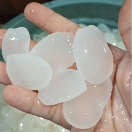 Kolang kaling muda super empuk khas tasikmalaya jawa barat kolang kaling geprek obat nyeri sendi