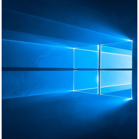 Windows 11 Pro / Windows 10 Pro COA Lisensi