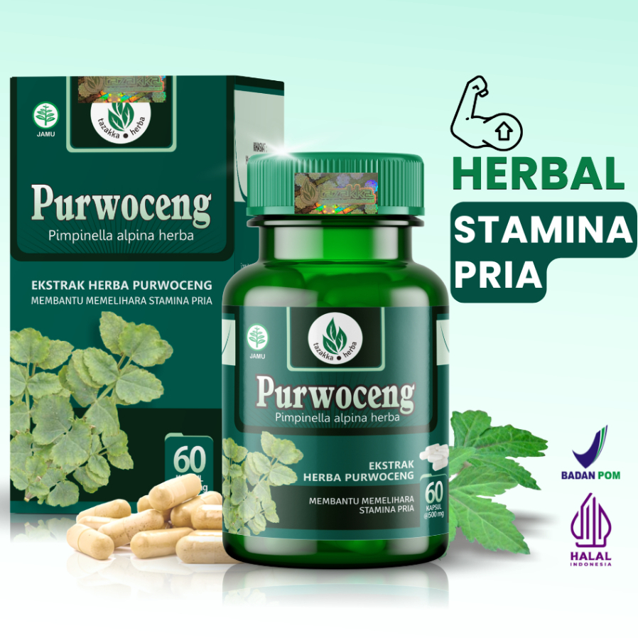 Kapsul Purwoceng Tazakka. Herbal kemasan kapsul isi 60 extrak kaps