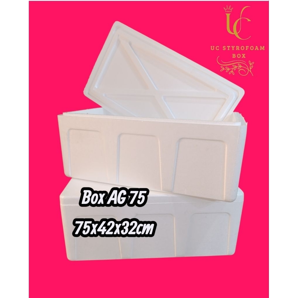 BOX STYROFOAM AG 75 LOW/STYROFOAM BOX 75x42x32cm