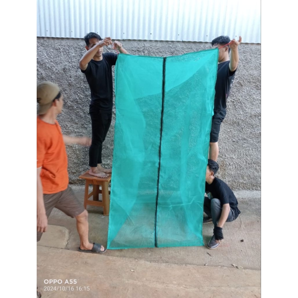 kandang lalat BSF 160 x 53 x 145 kandang lalat BSF maggot