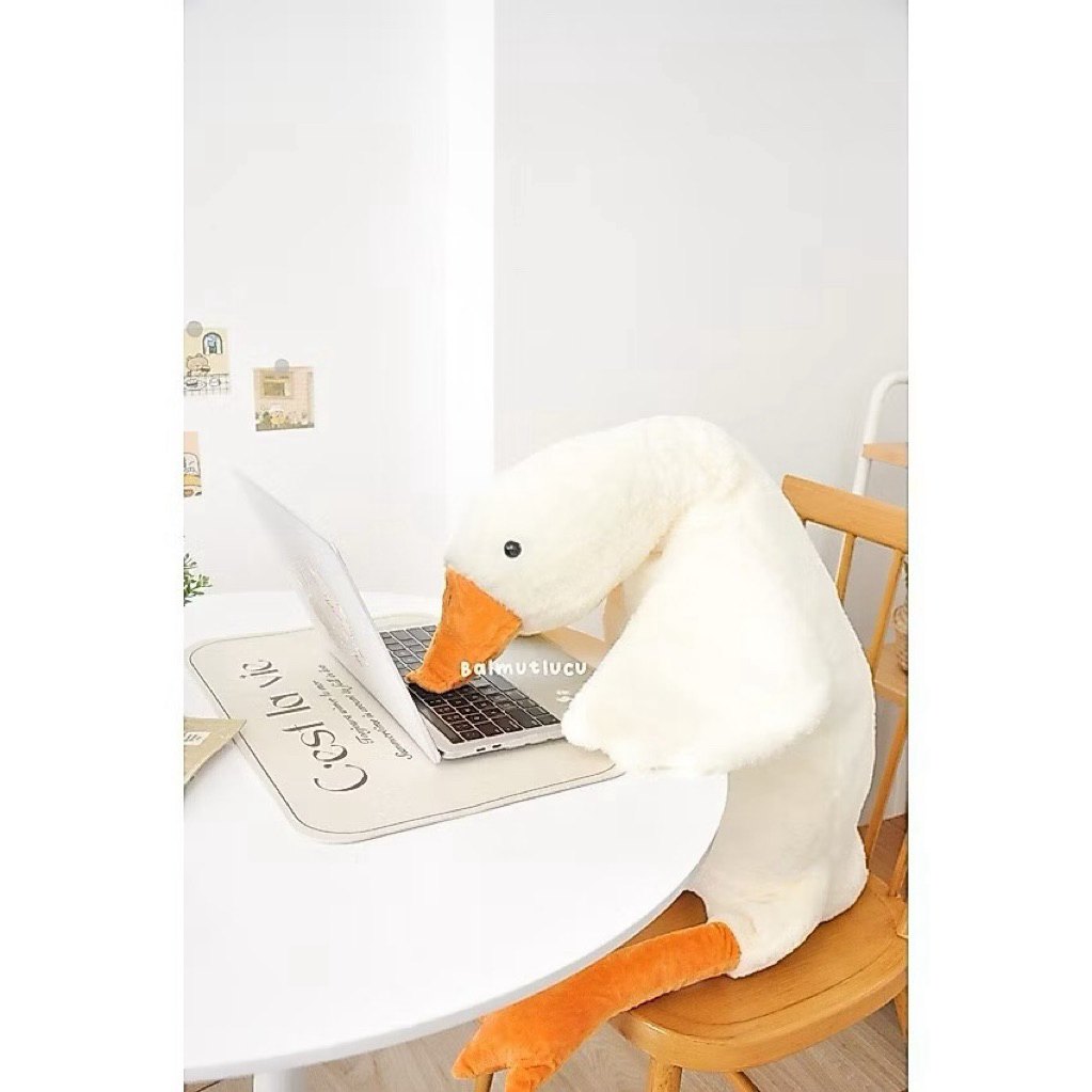Preloved BALMUTLUCU | Boneka Jumbo Goose Lucu Warna Putih | Bantal Guling Binatang Bebek Angsa Ukura