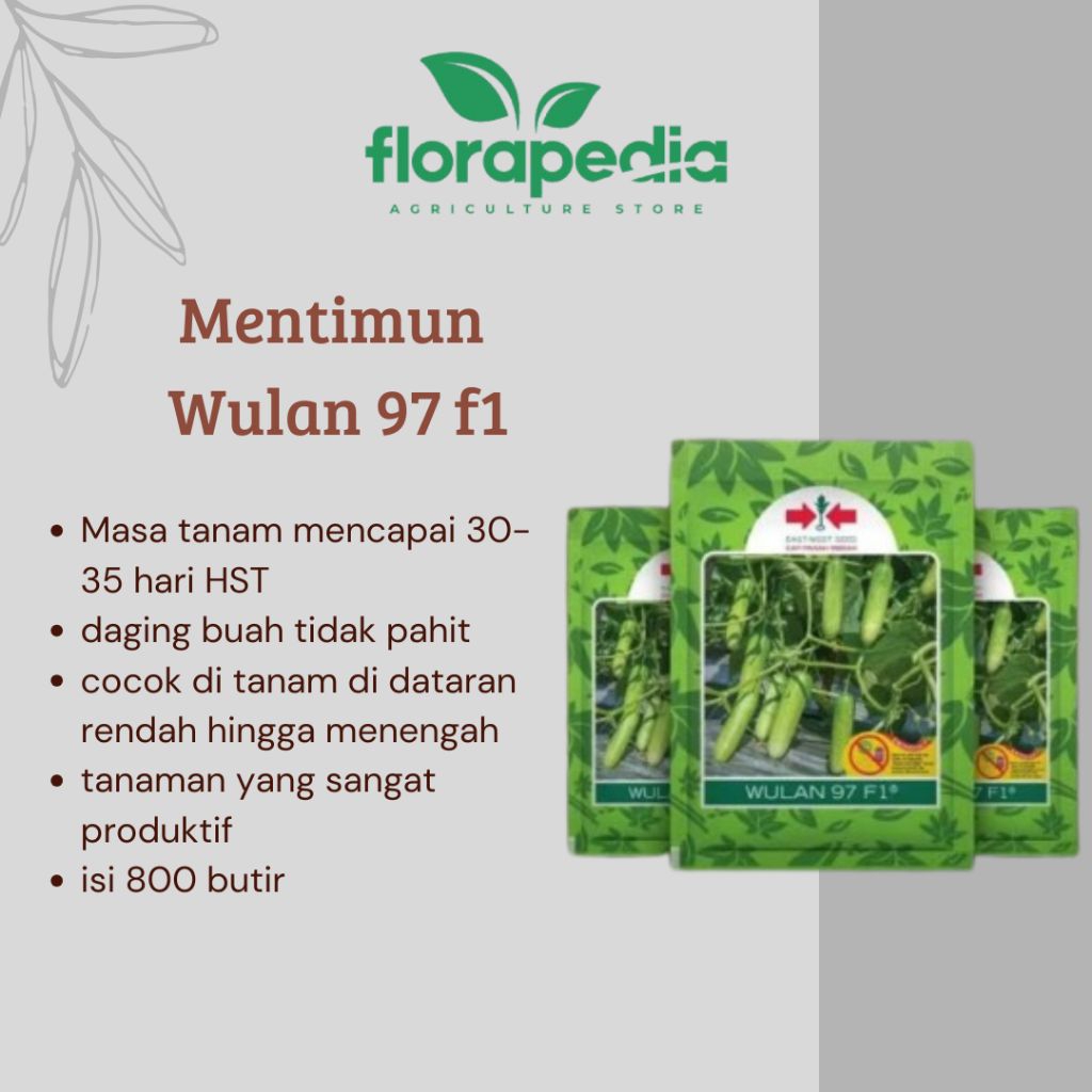 benih timun Wulan 97 f1 benih mentimun wulan kualitas f1 mentimun hijau isi 800 biji