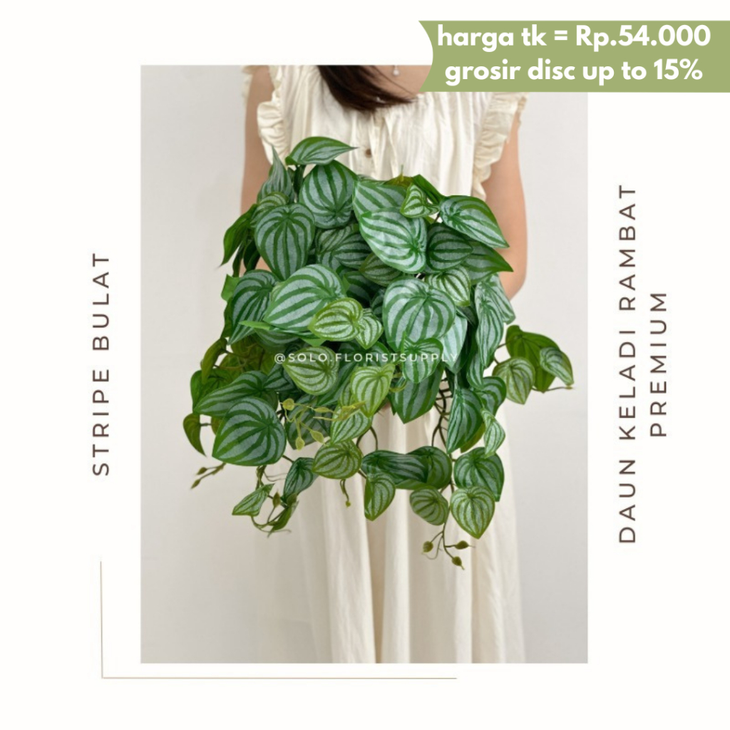 [QC] DAUN KELADI RAMBAT PREMIUM Daun Plastik Palsu Artificial Dekorasi ZEBRINA GANTUNG Bunch Daun Wi
