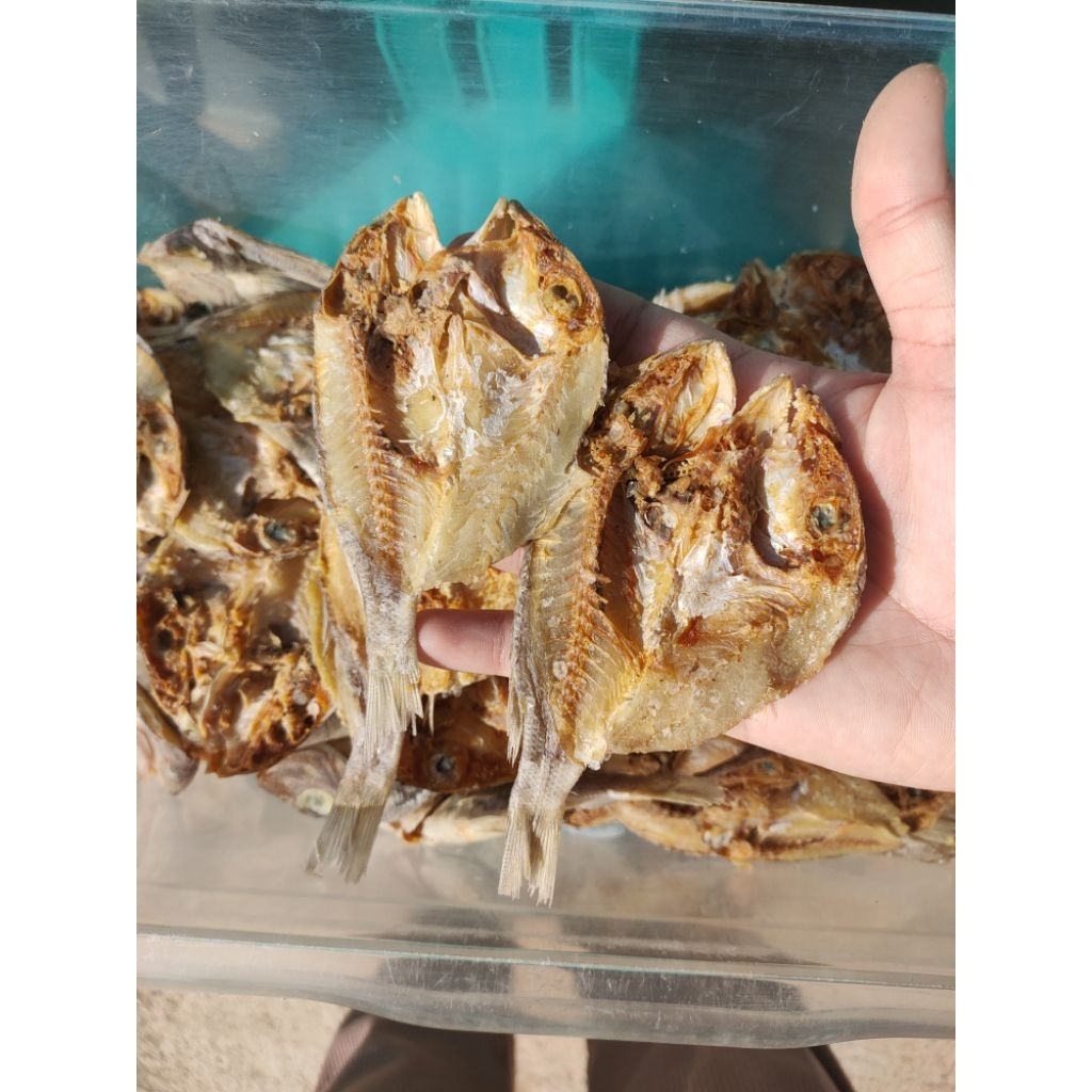Ikan Asin Katamba