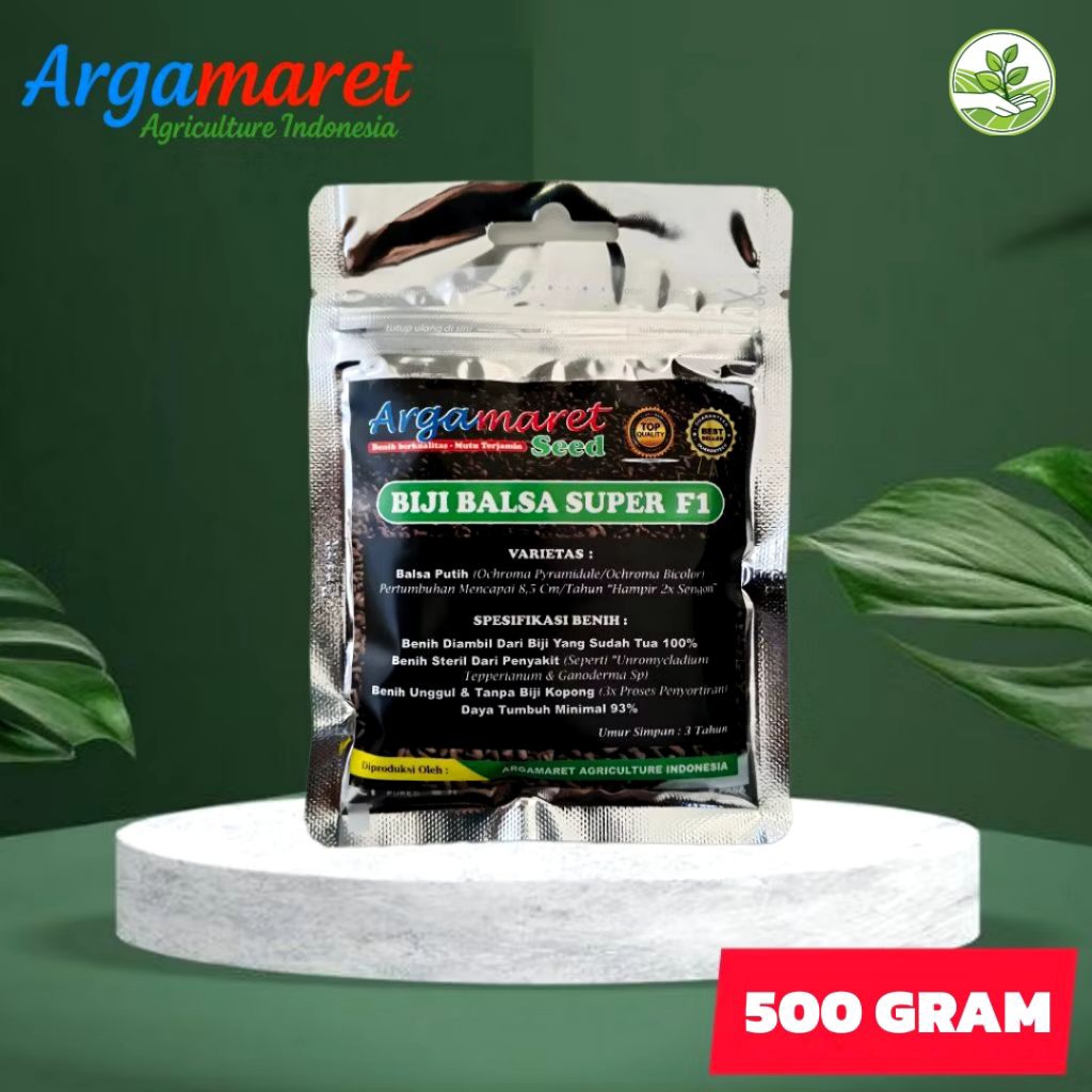 Biji Balsa Super F1 - Benih Kayu Balsa Putih - Biji Pohon Balsa Cepat Tumbuh Kualitas Unggul Siap Ta