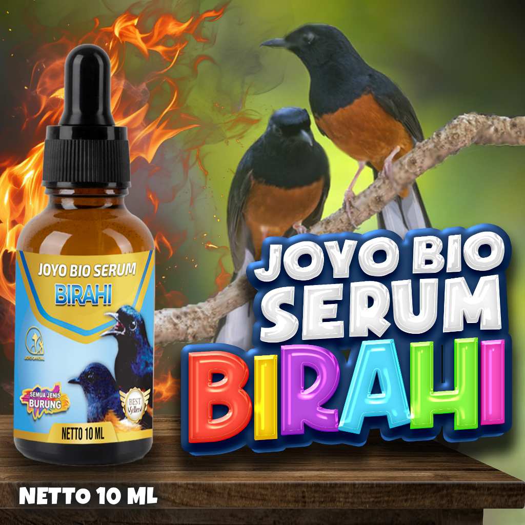 VITAMIN BIRAHI BURUNG | OBAT BIRAHI BURUNG | PENDONGKRAK BIRAHI TESTOTERON & ESTEROGEN | MENAIKKAN B