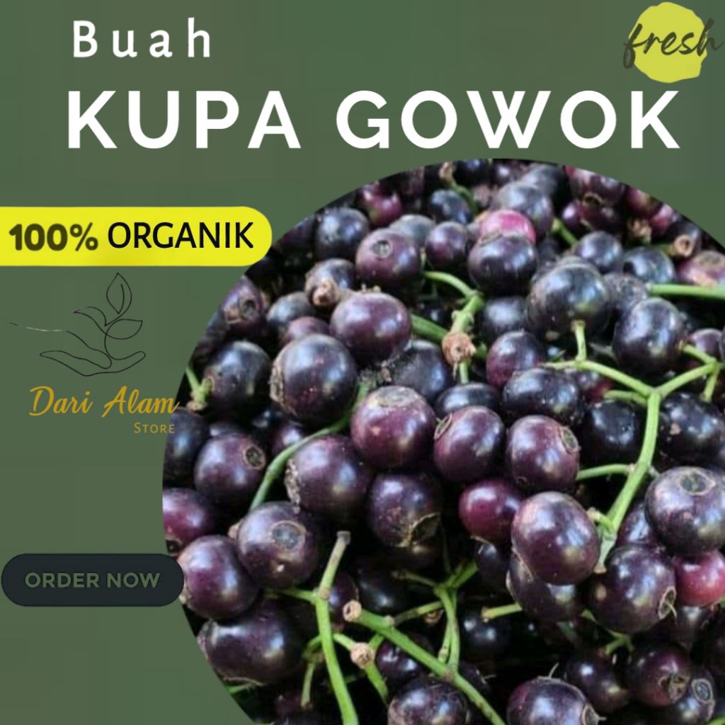 Buah Kupa Gowok Segar Stok Baru Fresh Berat 500 Gram