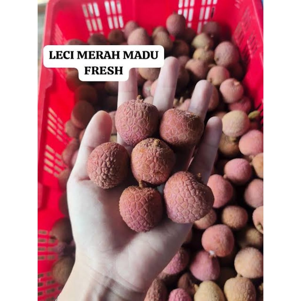 leci madu lecy manis merah