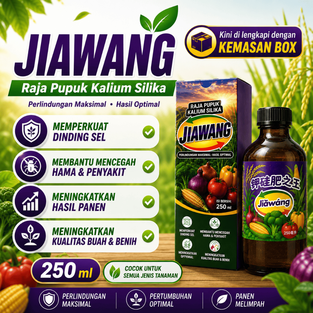JIAWANG Raja Pupuk Kalium dan Silica Penambah Bobot, Mengatasi PADI ROBOH, Membuat Tanaman Lebih Kua