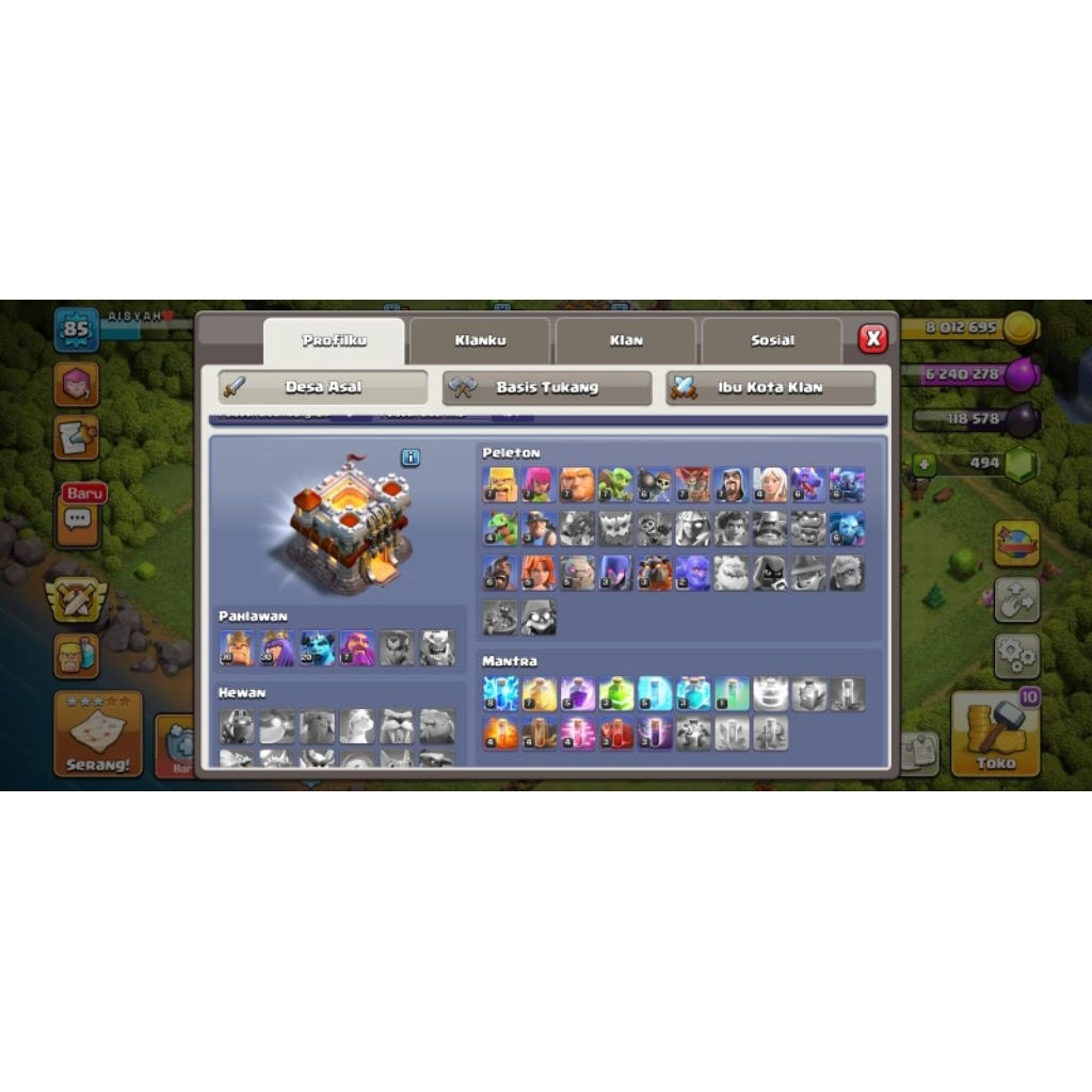 TH 11 Akun Pribadi Stok Terbatas