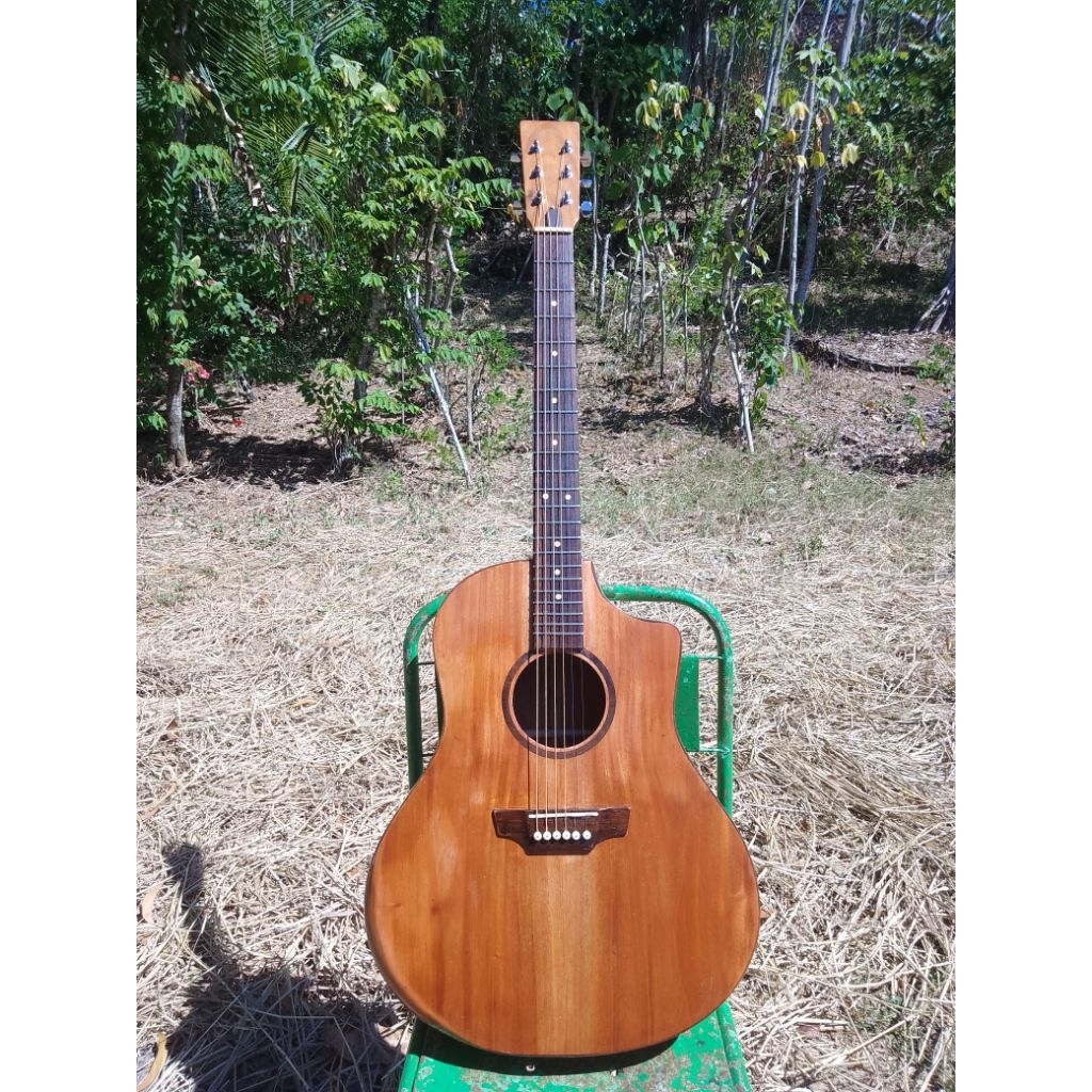 DSG C22 | Gitar akustik all solid mahoni 22 fret