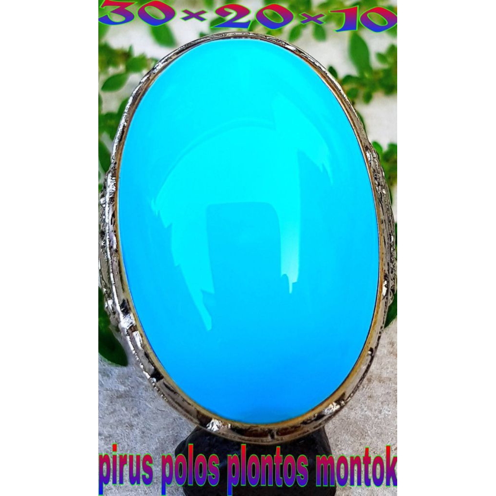 natural pirus Persia polos
