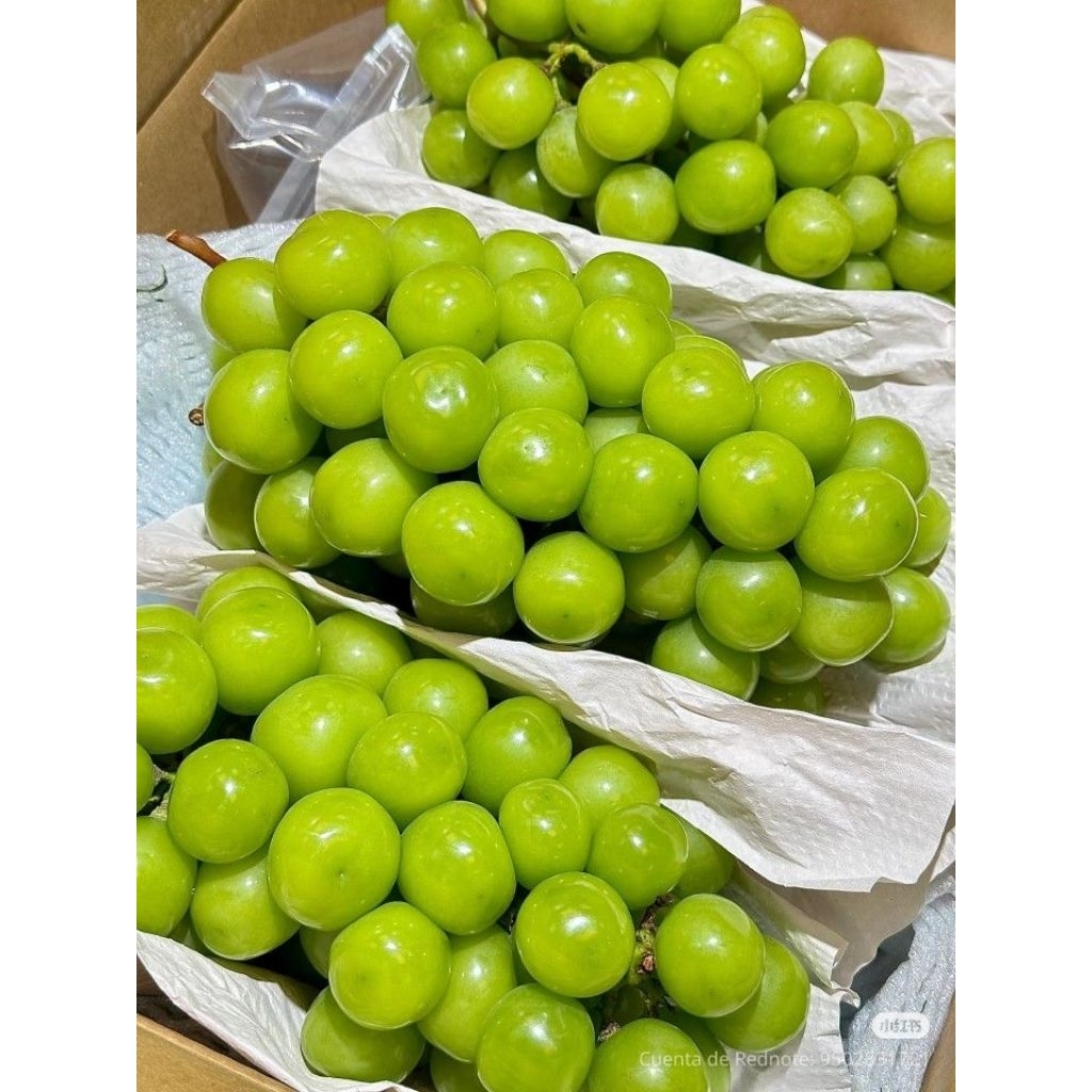 [PREMIUM] Anggur Shine Muscat Seedless Grape 1 Box Manis Harga Grosir
