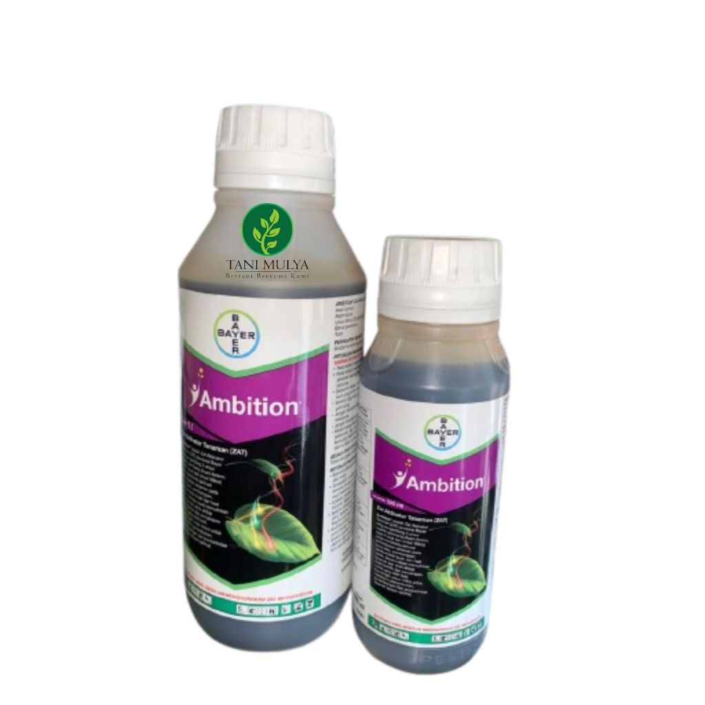 AMBITION BAYER