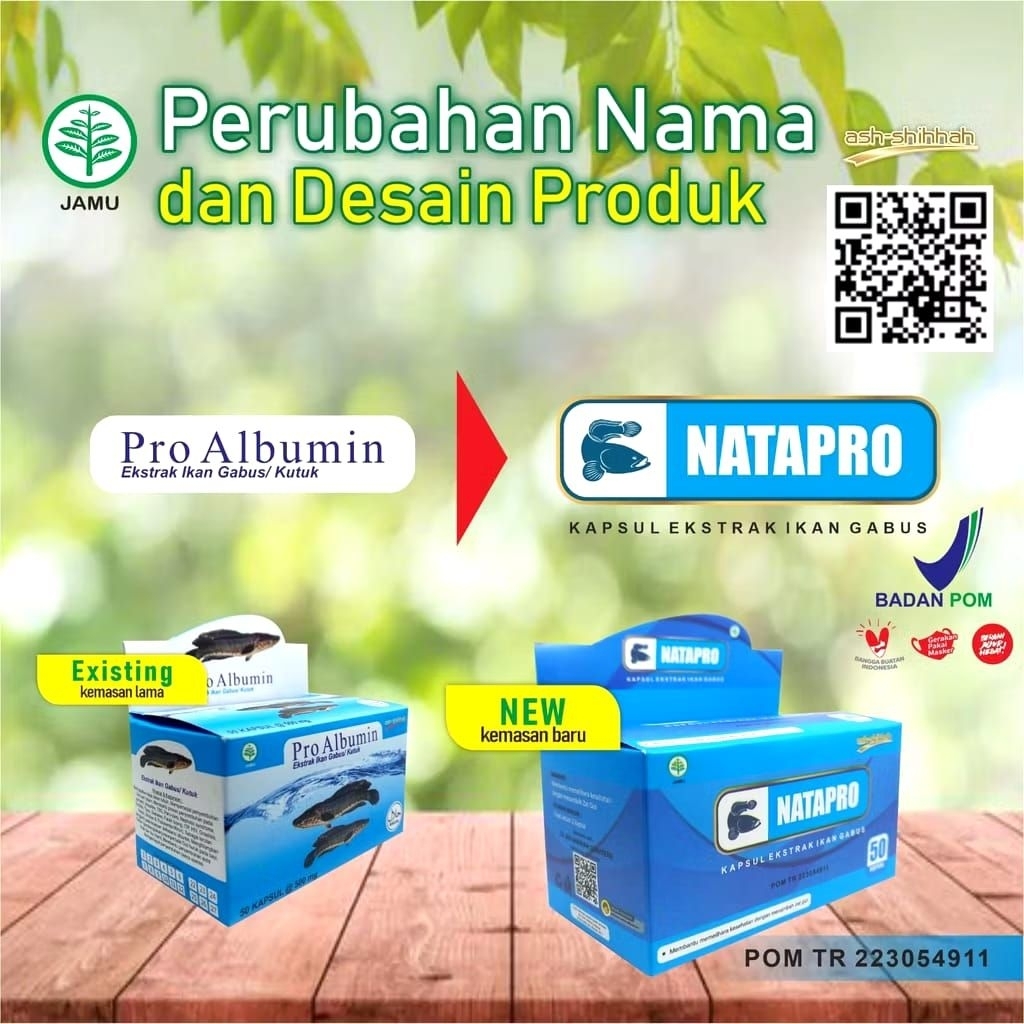 kapsul Ekstrak ikan gabus pasca operasi natapro