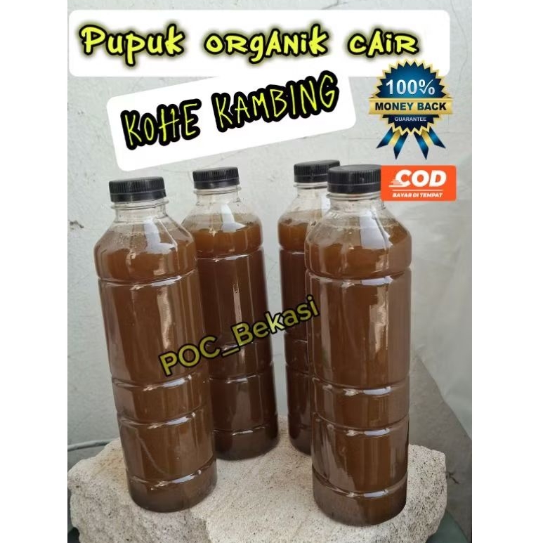 POC kohe kambing || pupuk organik cair kohe kambing || kohe kambing cair 500ml