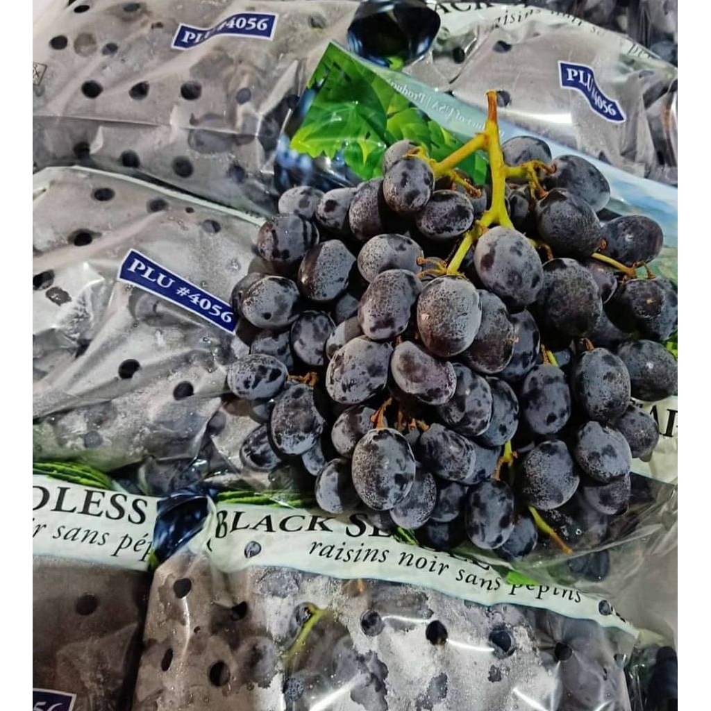 Anggur black autumn 1KG anggur black autumn manis anggur black autumn segar buah segar bandung