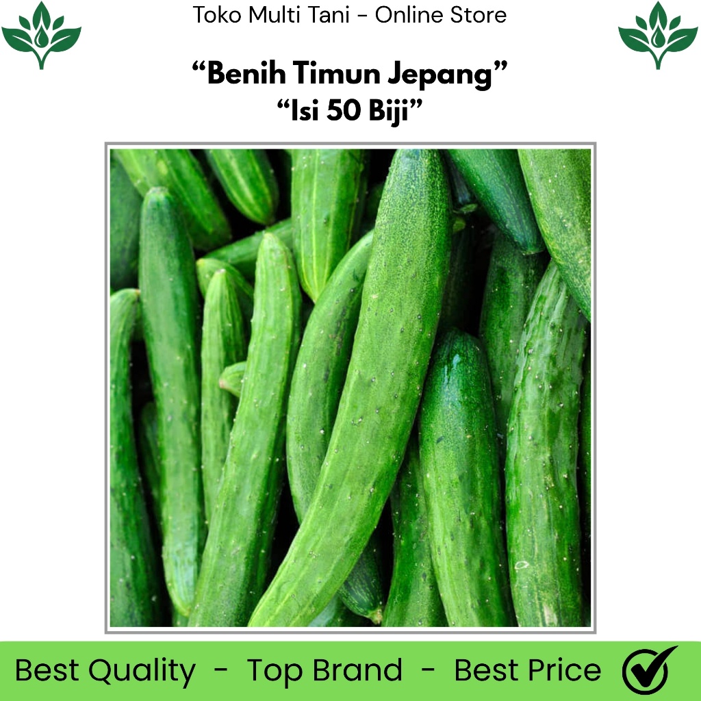 Benih Timun Jepang Isi 50 Biji - Benih Timun Jepang - Benih Timun Jepang Unggul - Benih Timun Jepang